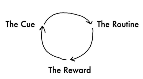 Why Habits Are Hard to Build?